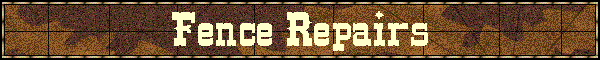 Fence Repairs